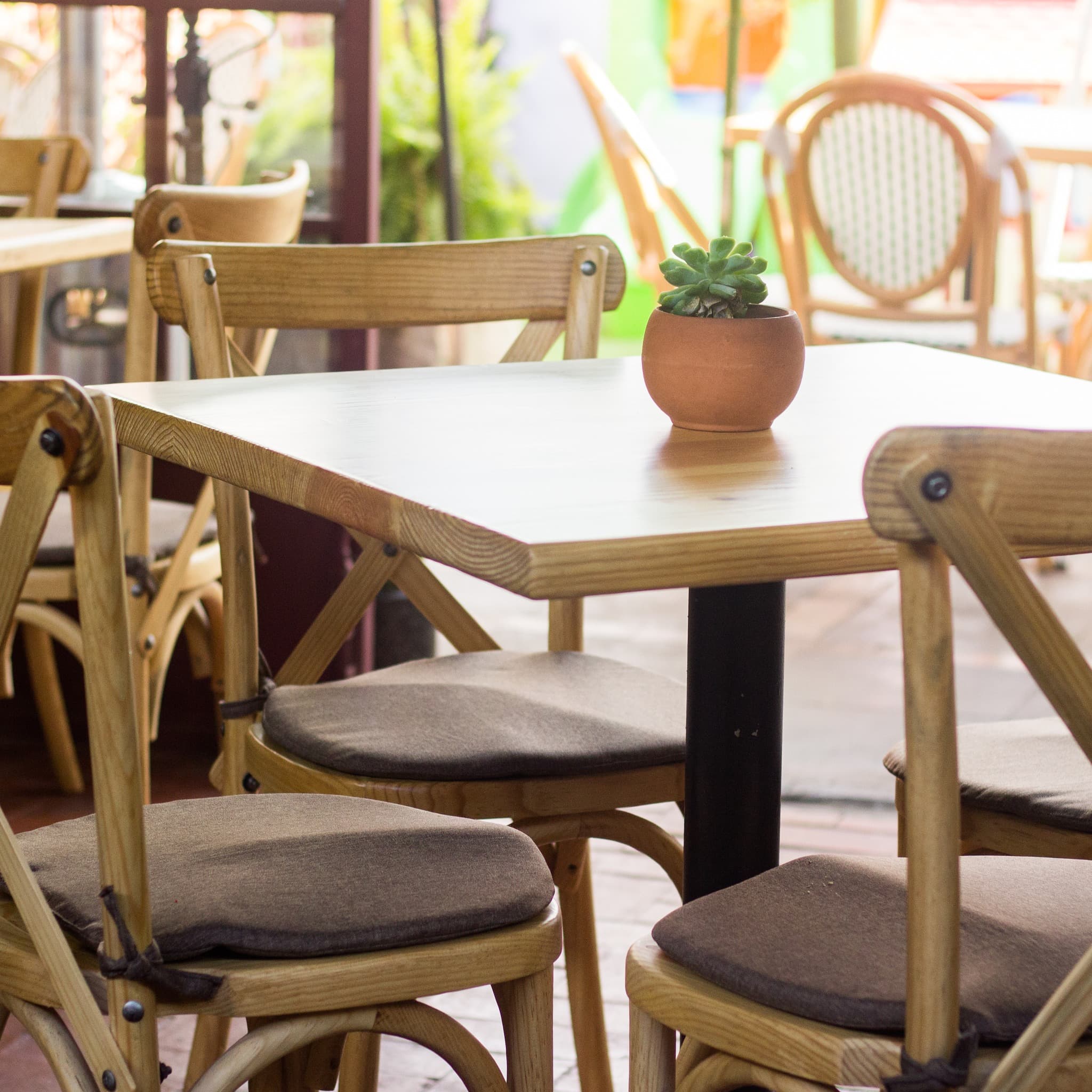 Terraza del bistró con sillas de madera estilo francés y maceta con suculenta